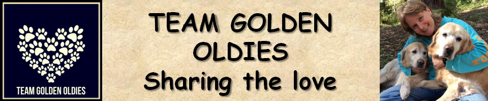 Team Golden Oldies